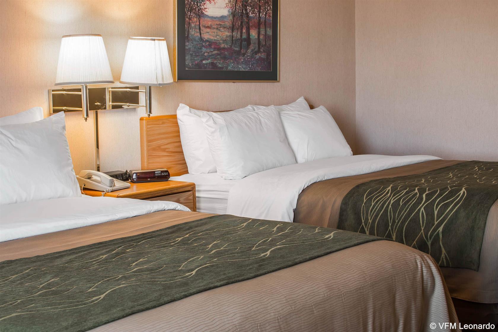 Comfort Inn Charlotte Kültér fotó