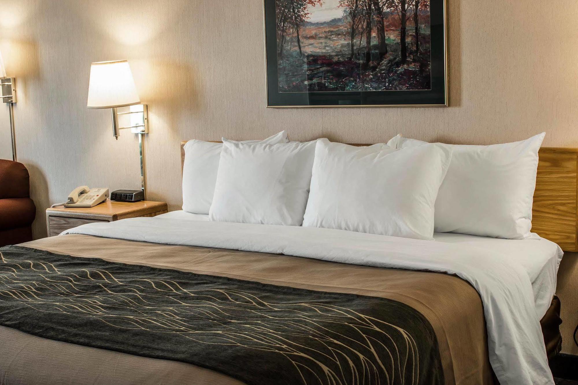 Comfort Inn Charlotte Kültér fotó